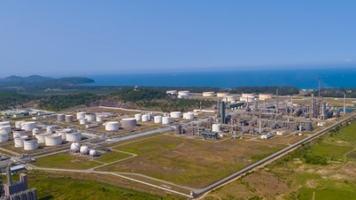 Quang Ngai a adoptat multe rezoluții importante pentru a crea un impuls pentru dezvoltarea economică.