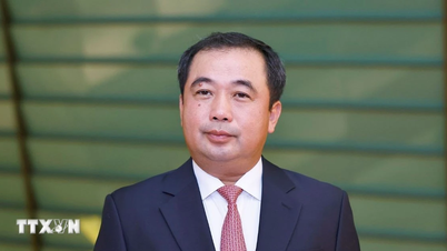 Brief biography of Minister of Agriculture and Environment Tran Duc Thang
