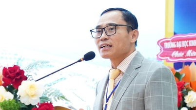 Quang Ngai tiene sed de recursos humanos de alta calidad, aconsejan los expertos