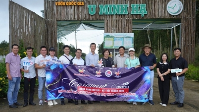 Unternehmensumfrage im Industriepark Khanh An und im Nationalpark U Minh Ha