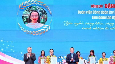Pani Luong „Dobra w sprawach publicznych, dobra w pracach domowych”
