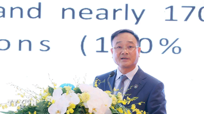 온라인 사기 범죄 예방 및 퇴치를 위한 국제 협력 촉진