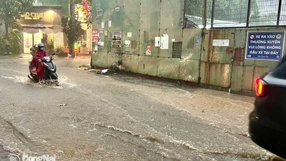 Peringatan banjir akibat hujan lebat di Dong Nai