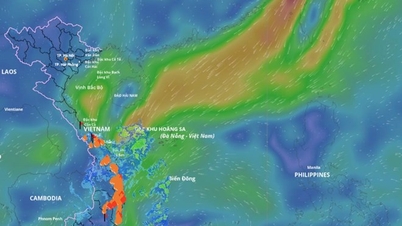Aparece nueva zona de baja presión en el Mar del Este, se pronostica mal tiempo