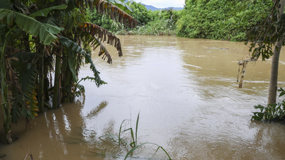 Rain on land, gusty winds at sea