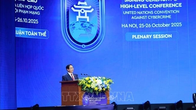 Prime Minister Pham Minh Chinh called on countries to jointly implement the '5 steps' to implement the Hanoi Convention.
