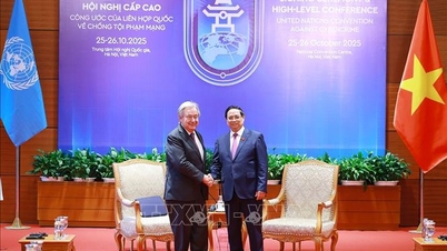 Başbakan Pham Minh Chinh, Birleşmiş Milletler Genel Sekreteri António Guterres ile görüştü
