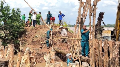 ヴィンロン島：タンロン島の住民は土砂崩れの瀬戸際に危険な生活を送っている