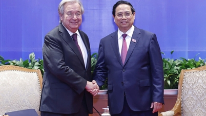 Perserikatan Bangsa-Bangsa akan terus mendampingi Vietnam dalam fase pembangunan barunya.