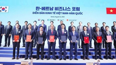 Zahlreiche Kooperationsvereinbarungen zur digitalen Infrastruktur und digitalen Transformation zwischen vietnamesischen und koreanischen Unternehmen