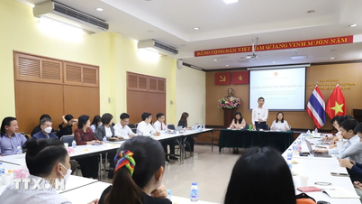 Kommentare zu den Dokumentenentwürfen des 14. Kongresses: Vietnamesische Intellektuelle in Thailand begleiten das Land