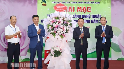Pembukaan Pameran Seni Bonsai 2025 di Kluster Ha Nam - Wilayah Ninh Binh