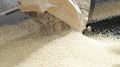 O Vietnã exportou mais de 7 milhões de toneladas de arroz em 2025.