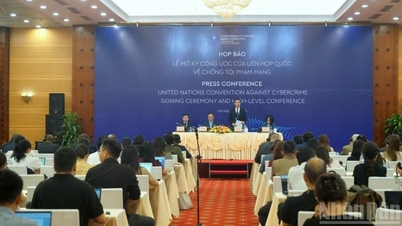 Prevenirea criminalității cibernetice - prima linie a Convenției de la Hanoi