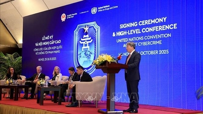 Convenția de la Hanoi: Protejarea drepturilor omului și a drepturilor civile în mediul digital