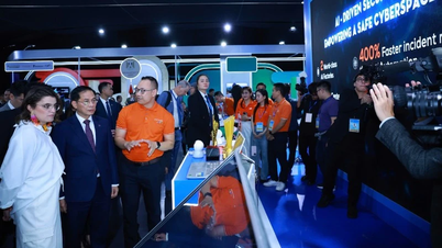 Creating a safe, autonomous and sustainable cyberspace