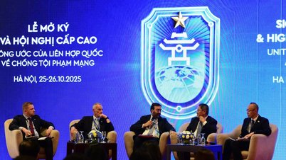 Capacity Building - A Pillar of Global Cooperation in Combating Cybercrime
