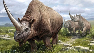 Elasmotherium الأصل الغامض للوحيد القرن الأسطوري الذي كان موجودًا ذات يوم