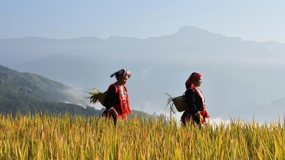 लो लो चाई - दुनिया का सबसे अच्छा पर्यटन गाँव