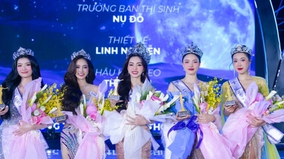 Hoang Ngoc Nhu crowned Miss Vietnamese Student 2025