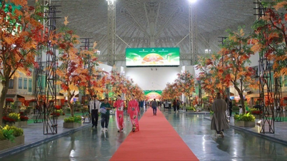 Herbstmesse: Leitfaden zum Besuch und Erleben der „6 besten Supermessen“