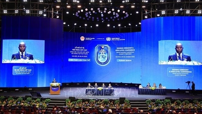 Convención de Hanoi: Segunda discusión plenaria