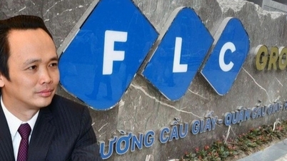 FLC convoque une assemblée générale extraordinaire des actionnaires en novembre