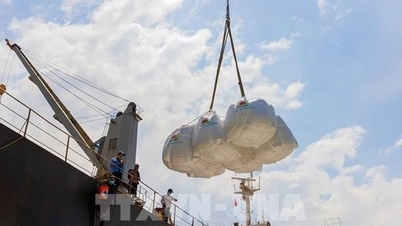 Вьетнам и Сингапур подписали Меморандум о взаимопонимании по сотрудничеству в торговле рисом.