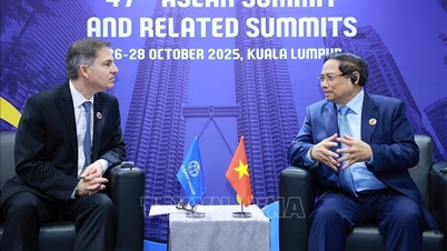 Thủ tướng Phạm Minh Chính gặp Phó Chủ tịch World Bank phụ trách Đông Á - Thái Bình Dương