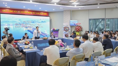 Thúc đẩy hợp tác thương mại và đầu tư giữa tỉnh Quảng Ngãi và TP. Hồ Chí Minh