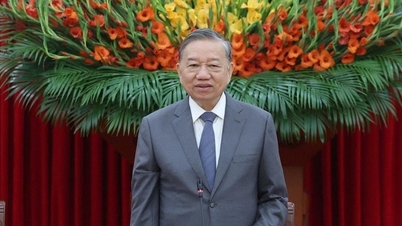 Internationale Freunde, die Vietnam verstehen und lieben und sich über Vietnam informieren, sind Teil der Soft Power Vietnams.