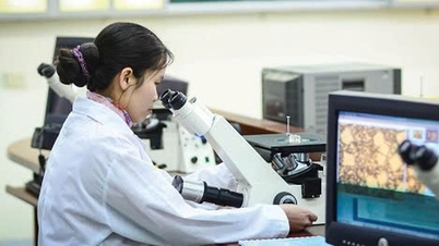Innovación en el mecanismo de asignación del gasto en la realización de tareas de ciencia, tecnología e innovación