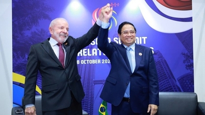 Memperkukuh kerjasama pelbagai rupa antara Vietnam dan Kemboja, Kanada dan Brazil