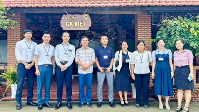 Empresas japonesas exploram oportunidades de cooperação na província de Vinh Long