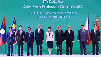 Prim-ministrul Pham Minh Chinh participă la Summitul de conducere al comunității asiatice cu emisii zero nete