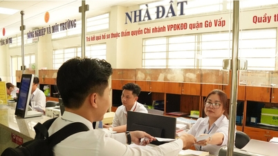 Kota Ho Chi Minh: Pembersihan data lahan – langkah fundamental dalam membangun pemerintahan digital