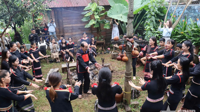 Cultivând pasiunea de la clasa de dans popular din Central Highlands