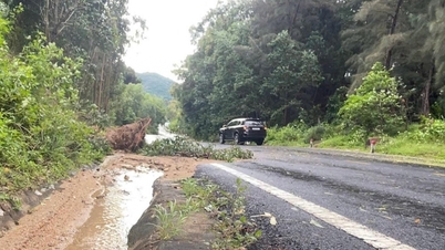 Fortes chuvas em Dak Lak causam danos à infraestrutura de transporte e à produção