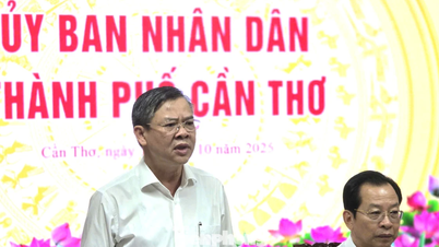 Chủ tịch Cần Thơ: Tăng trưởng 2 con số là chỉ tiêu pháp lệnh