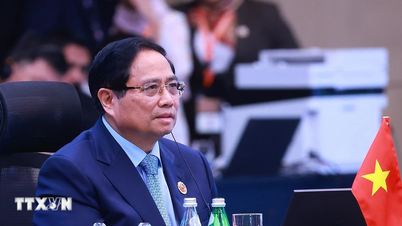 Countries adopted the Joint Statement of the 3rd AZEC Summit