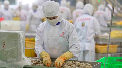 Vietnam und die USA vereinbaren gemeinsame Erklärung zu gegenseitigen Steuern