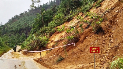 दा नांग ने बाढ़ और बारिश को रोकने के लिए स्कूल बंद करने का निर्णय लेने के लिए संस्था को अधिकृत किया है।