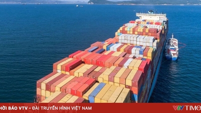 Descoperire importantă în export: Profită de oportunitatea de aur, pășește adânc în lanțul de aprovizionare global