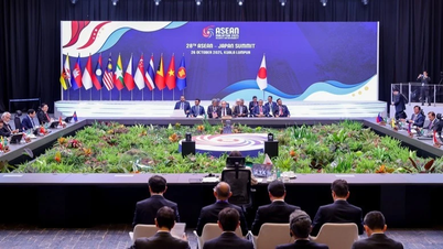 Promoting cooperation pillars between ASEAN and Japan, co-creating socio-economics for the future