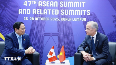 Thủ tướng Phạm Minh Chính gặp Thủ tướng Canada nhân Hội nghị cấp cao ASEAN 47