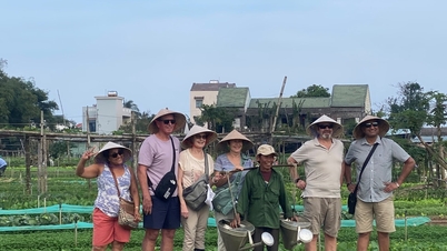 Hoi An antik kentinin banliyölerinde turizmin öne çıkan noktaları