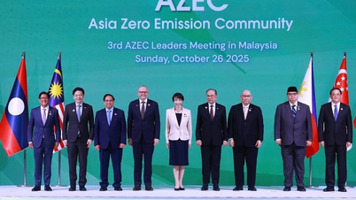 Multiple, practical pathways to net-zero emissions