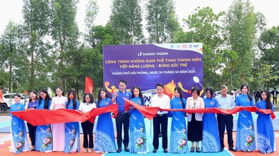 Inauguración de instalaciones deportivas juveniles en la comuna de Tran Phu