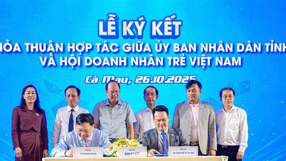 Ca Mau begleitet Unternehmen: Durchbruch durch Reformen und Investitionsvertrauen