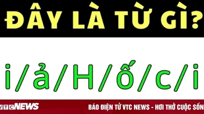 Raja Vietnam baru saja menemukan jawaban yang tepat untuk pertanyaan ini.